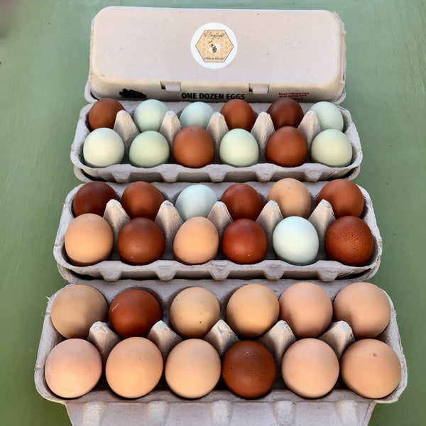 Carton filled with eggs of various colors